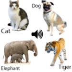 animal sounds-kids game android application logo